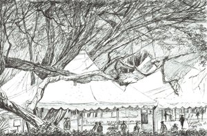 Tentes de mariage au lac Navaisha, Kenya, 2003 - Vincent Alexander Booth