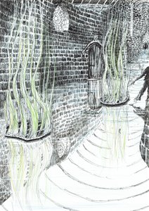 page29, Le château dans la forêt de Findhorn, 2006