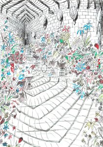 page37, Le château dans la forêt de Findhorn, 2006 - Vincent Alexander Booth