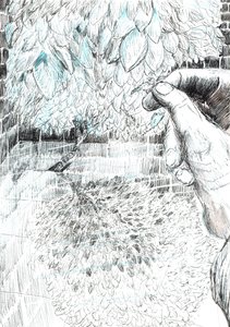 page43, Le château dans la forêt de Findhorn, 2006 - Vincent Alexander Booth
