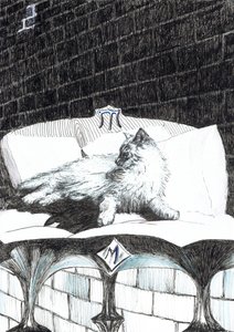 page52, Le château dans la forêt de Findhorn, 2006 - Vincent Alexander Booth