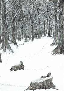 page5, Le Château dans la forêt de Findhorn, 2006