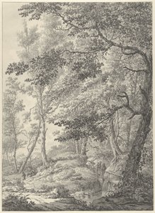 Paysage forestier avec un petit pont en bois et deux promeneurs