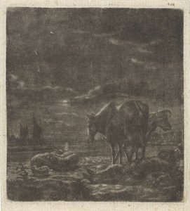 Paysage nocturne avec berger endormi et bétail - Vincent Laurensz. van der Vinne (II)