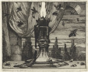 Mouches attirées par la lumière d