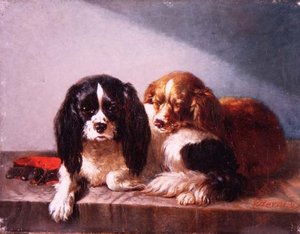 Une paire de Cavalier King Charles Spaniels sur un rebord - Vincent de Vos