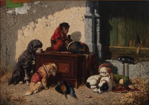 Compagnons de cirque - Vincent de Vos