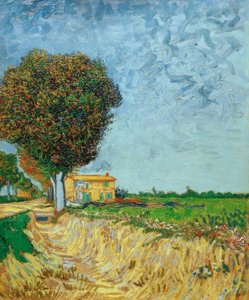 Allée à Arles avec maisons