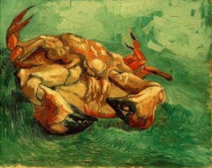 Crabe couché sur le dos