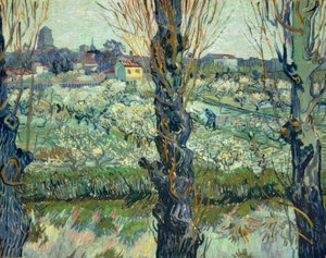 Vue d