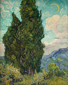 Cyprès