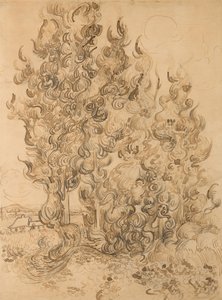 Cyprès - Vincent van Gogh