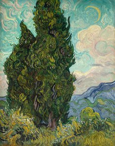 Cyprès, 1889