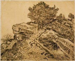 Le Rocher de Montmajour avec des pins - Vincent van Gogh