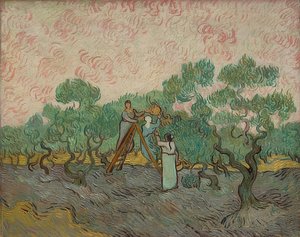 Femmes à la récolte des olives. 1889 - Vincent van Gogh