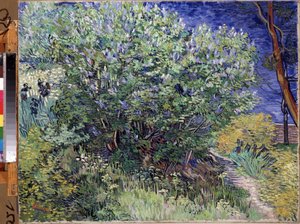 Le buisson de lilas - Vincent van Gogh