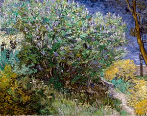 Le buisson de lilas - Vincent van Gogh