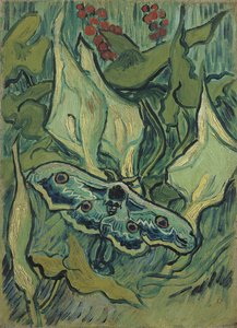 Le grand paon vert