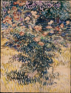 Les Lauriers-roses, le jardin de l