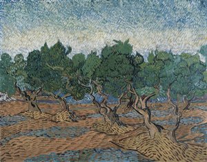 Oliveraie - Vincent van Gogh
