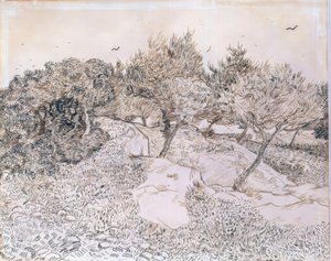 Oliviers à Montmajour - Vincent van Gogh