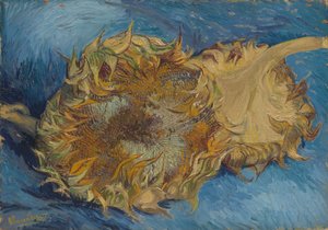 Tournesols