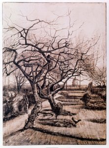 Le jardin du presbytère à Nuenen en hiver (1884)