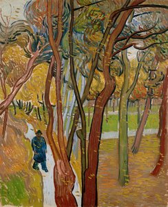 Le jardin de l
