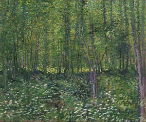 Arbres et sous-bois, 1887