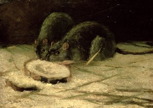 Deux rats, vers 1884 - Vincent van Gogh