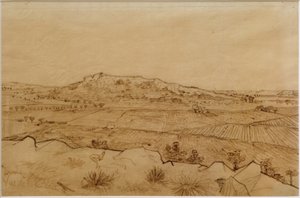 Vue de la Crau - Vincent van Gogh