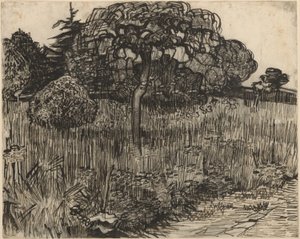Arbre pleureur - Vincent van Gogh