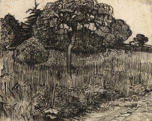 Arbre pleureur, 1889