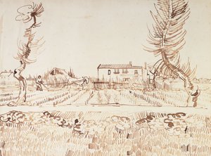 Laboureur dans les Champs à Arles - Vincent van Gogh