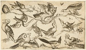 Onze oiseaux et deux insectes sur un sol minimal avec une chouette aux ailes déployées, 1572