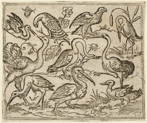 Autruche à gauche avec neuf autres oiseaux, dont un héron et un pélican..., 1557 - Virgil Solis