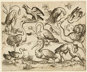 Autruche à gauche avec neuf autres oiseaux, y compris un héron et un pélican - Virgil Solis