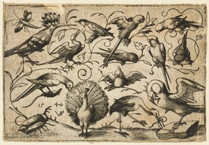Dix oiseaux sur de petites vrilles de feuillage avec une cigogne attachant une vrille autour de la patte d