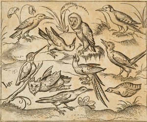 Dix oiseaux perchés sur des branches et des touffes d