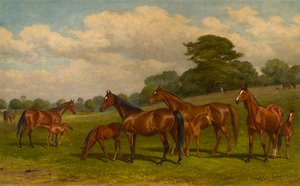 Juments et poulains - W.H. Hopkins