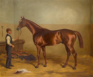 Sir Hugo à trois ans tenu par un palefrenier dans une écurie, c.1875-92 - W.H. Hopkins
