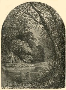Moss Islands, dans la Juniata, 1874 - W.H. Morse