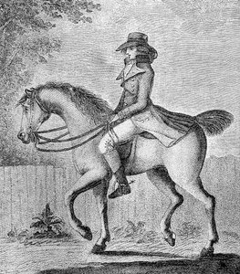 La Notion Erronée, 1789 - W. Dickinson