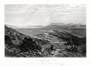 Les eaux de Mérom, Palestine, 1887 - W. Forrest