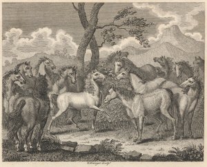 Le Conseil des chevaux - W. Grainger