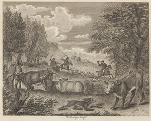 Le lièvre et de nombreux amis - W. Grainger