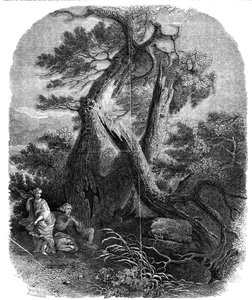 Spécimen de gravure sur bois, La mort des enfants de Niobé, 1844 - W. J. Linton