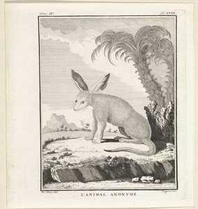 Animal inconnu - W. Tringham
