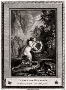 Cadmus et Hermione, métamorphosés en serpents, 1776 - W. Walker