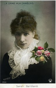 Henriette Rosine Bernard alias Sarah Bernhardt comme « La Dame aux camélias » par Alexandre Dumas fils - W. and D. Downey